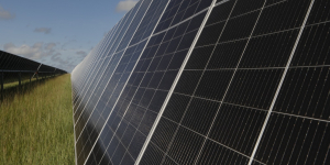 ANLA otorga viabilidad ambiental al Proyecto Solar Toluviejo en Sucre, que aportará nueva capacidad de generación de energía limpia