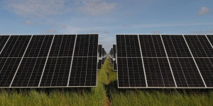 La ANLA otorga licencia ambiental al proyecto Parque Solar Las Palmeras en El Copey, Cesar