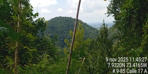 ANLA aprueba modificación de línea de transmisión La Loma - Sogamoso: clave para integrar energías limpias al sistema eléctrico del país