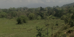 ANLA aprobó segunda modificación de la licencia ambiental de la Línea de Transmisión La Loma – Sogamoso a 500 kV