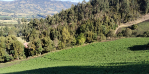 ANLA aprobó modificación de licencia ambiental de UPME 03-2010 Subestación Chivor II y Norte 230 kV, fortaleciendo la transmisión eléctrica hacia Bogotá y el centro del país