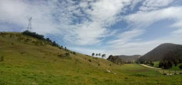 Imagen del proyecto Campo de Producción de Hidrocarburos Medina