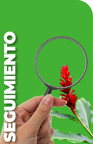 Banner Seguimiento de Licencias Ambientales - ANLA