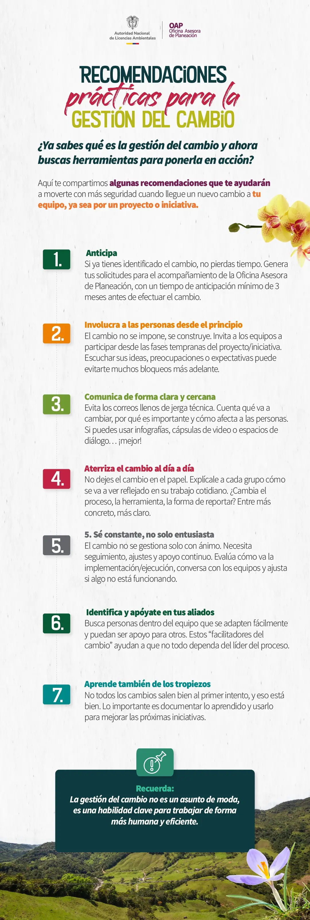 Imagen donde se explican todas las recomendaciones prácticas para la gestión del cambio