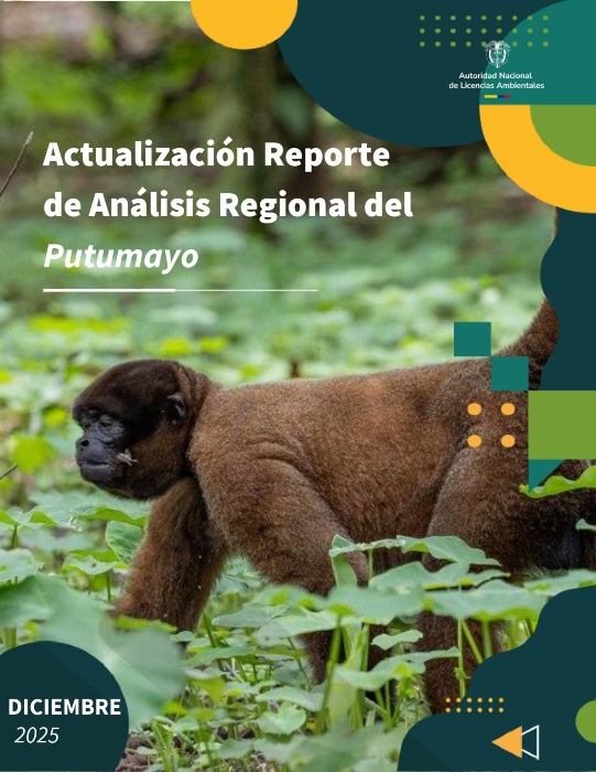 Imagen principal del Actualización Reporte de Análisis Regional del Putumayo