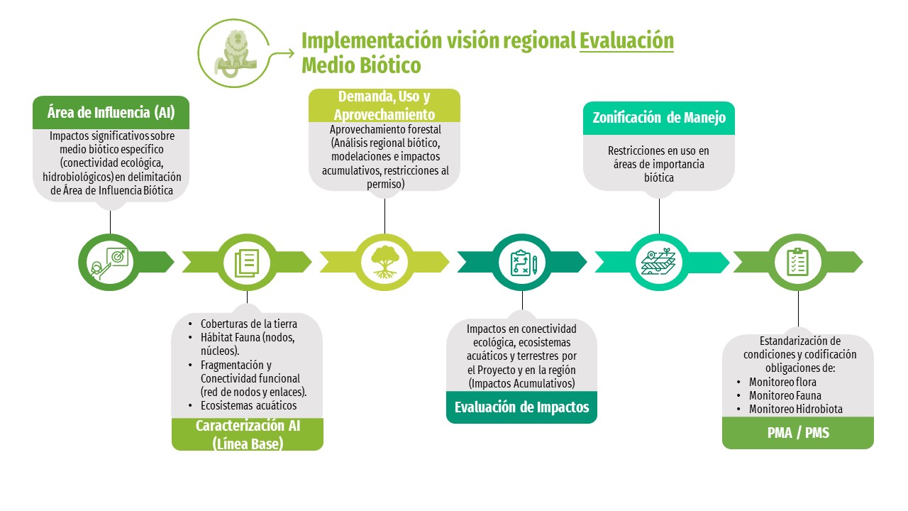Imagen del proceso de Implementación de visión regional
