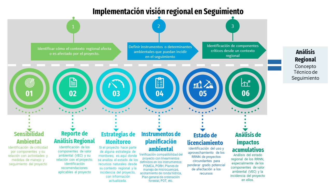 Imagen del proceso de Implementación de visión regional