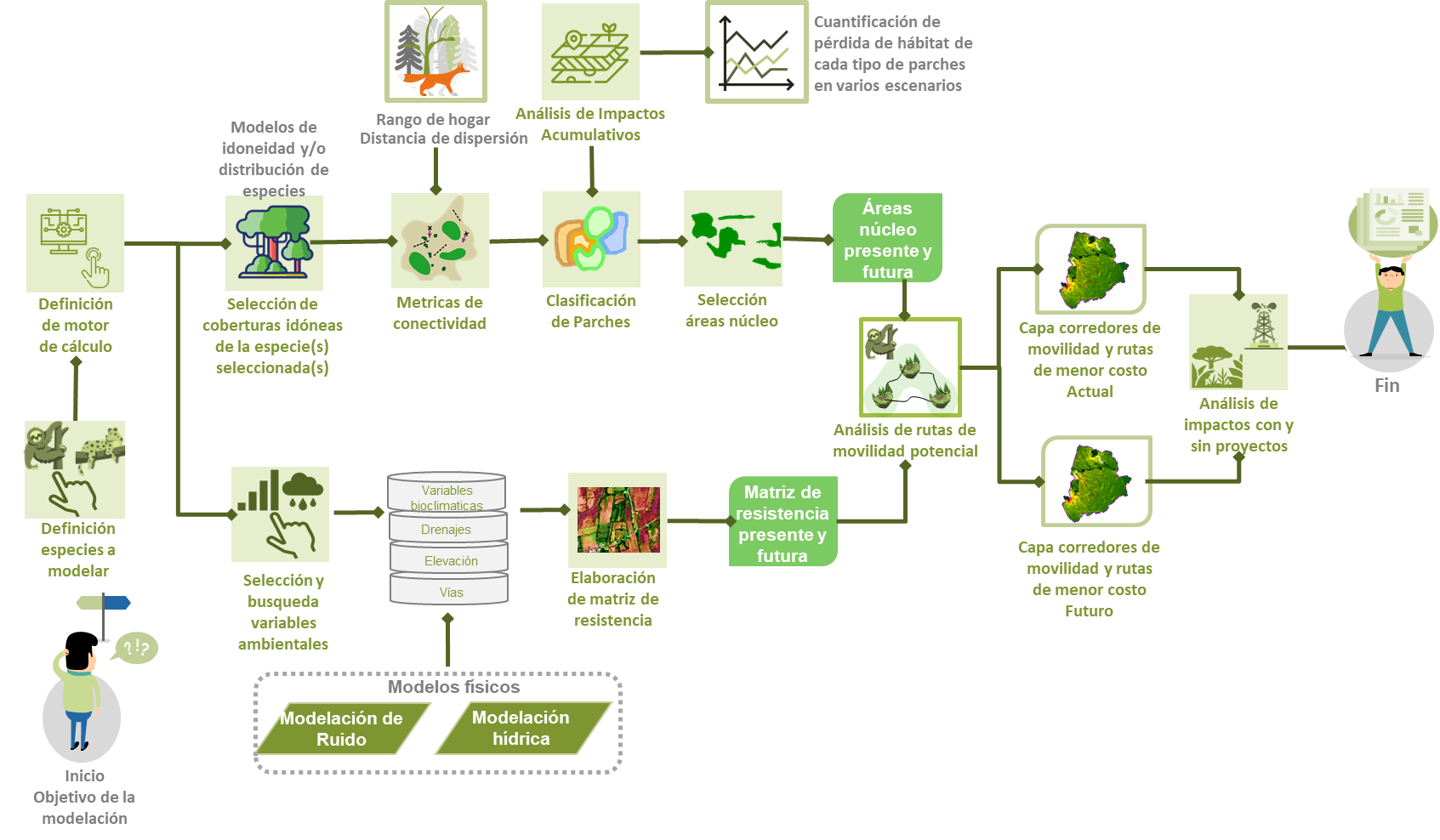 Imagen de referencia sobre el proceso de los Modelos de Conectividad Funcional en la ANLA Imagen de referencia sobre el proceso de los Modelos de Conectividad Funcional en la ANLA