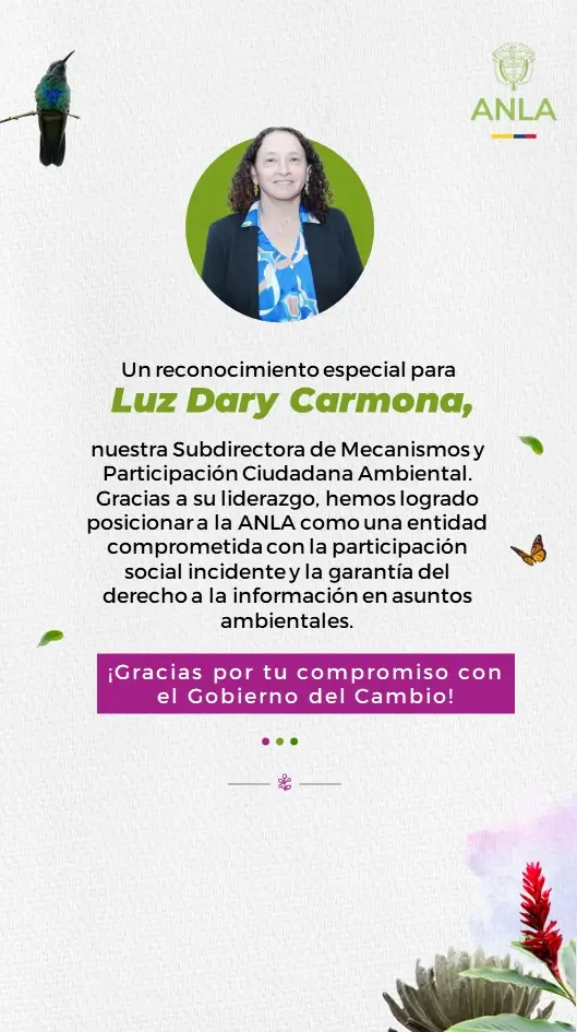 Infografía del tercero equipo de la ANLA durante la vigencia 2026.