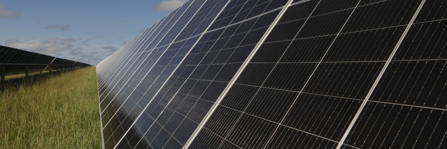 Imagen de paneles solares ubicada en un parque solar.
