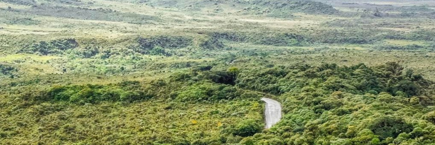 Imagen de comunicado de prensa