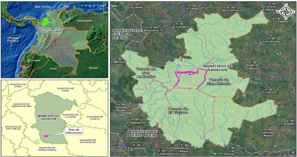 ANLA aprueba proyecto en Sahagun que fortalece la red electrica 2