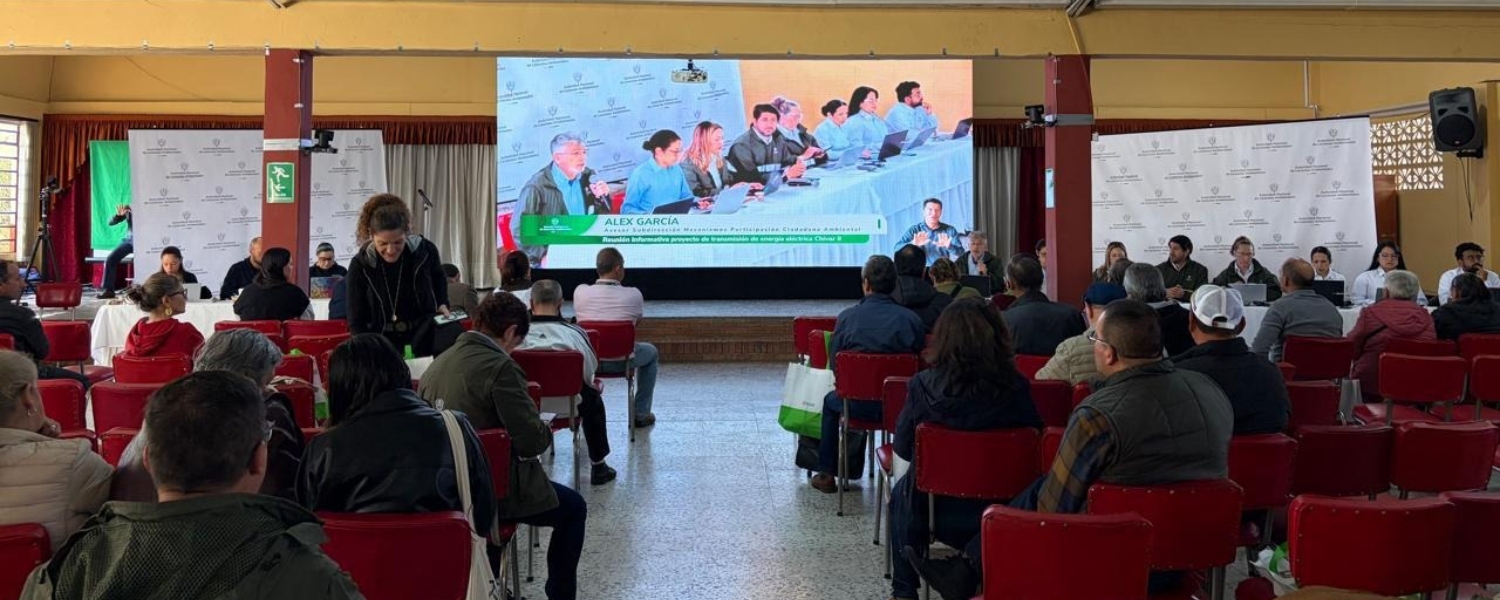 Imagen de la APA proyecto “UPME 03-2010 Subestación Chivor II y Norte 230 kV y Líneas de Transmisión"