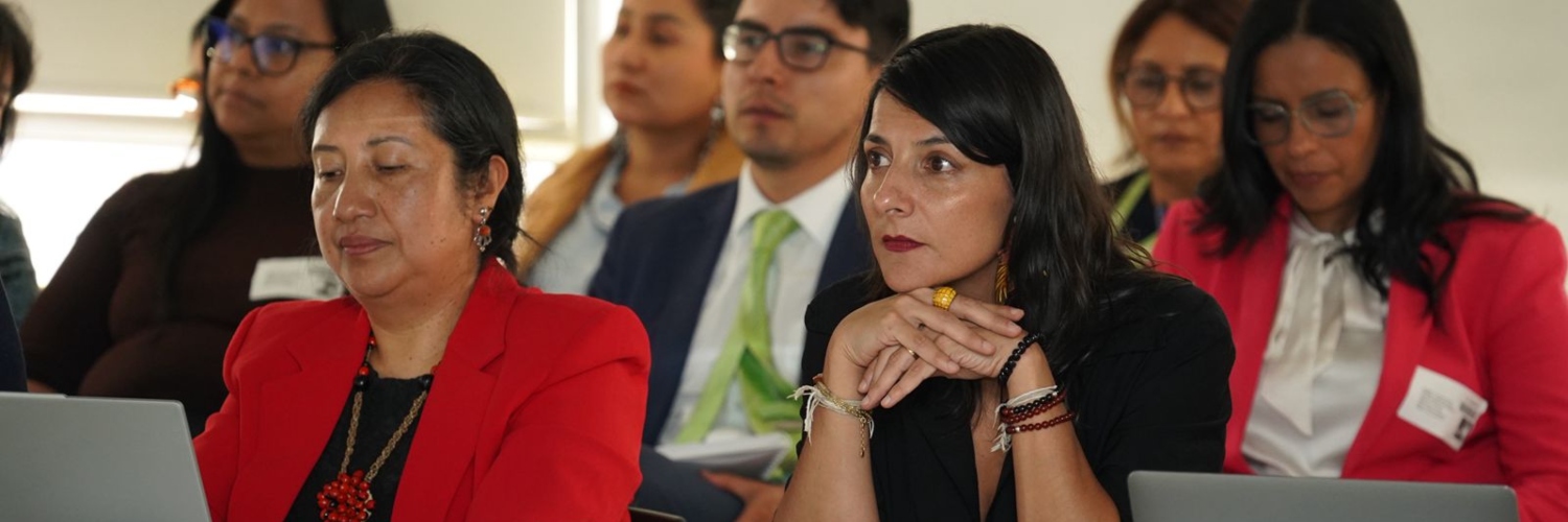 Imagen de las sesiones el Consejo Técnico Consultivo de El Alacrán