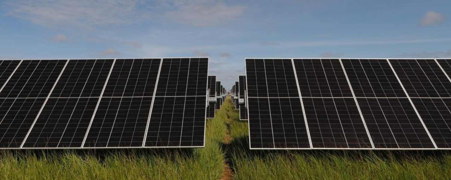 Imagen de referencia de un parque solar