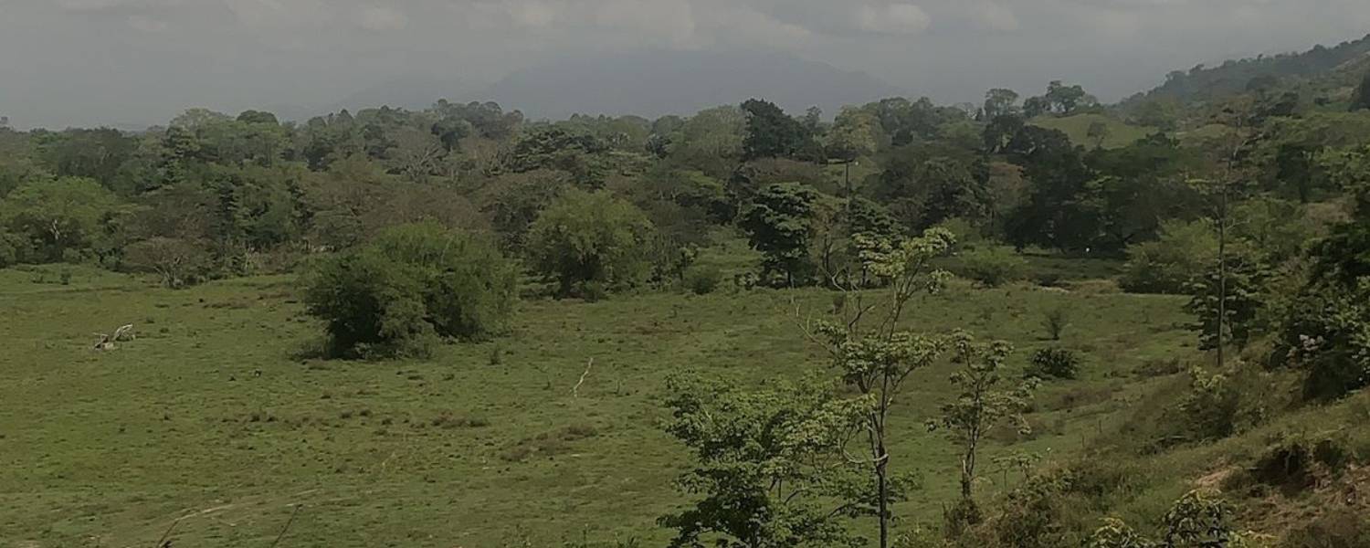 Imagen de referencia del proyecto Línea de Transmisión La Loma – Sogamoso a 500 kV